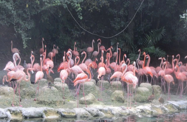 Parque Zoologico Nacional Republica Dominicana